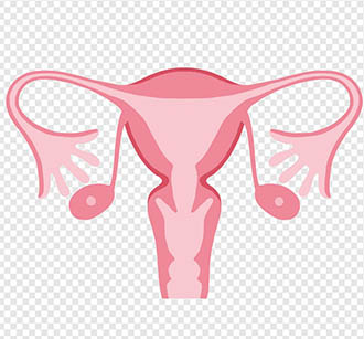 Gynaecologist & Obstetrician