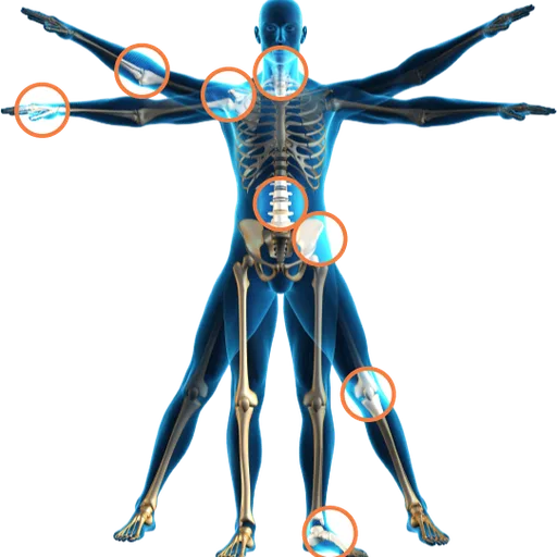 Orthopaedic Surgeon