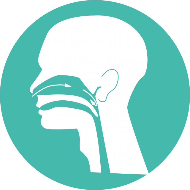 Sleep Apnea Care
